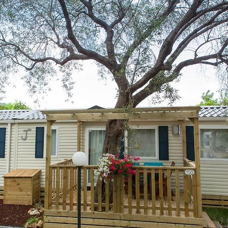 Camping Delfino Albenga Extérieur photo